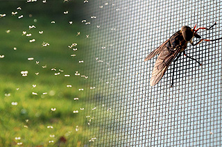 Cairns Venetian Жалюзи