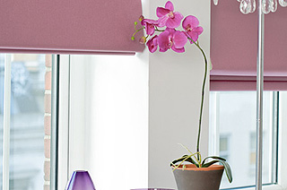 Cairns Venetian Жалюзи