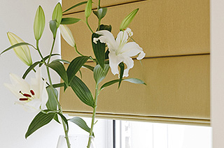 Cairns Venetian Жалюзи